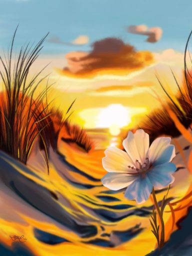 Peace by the Sea Sunset over a beach with soft sand, tall grass, and a single white flower in the foreground.