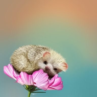 Pocket-sized A hedgehog resting on a pink flower with a colorful background.